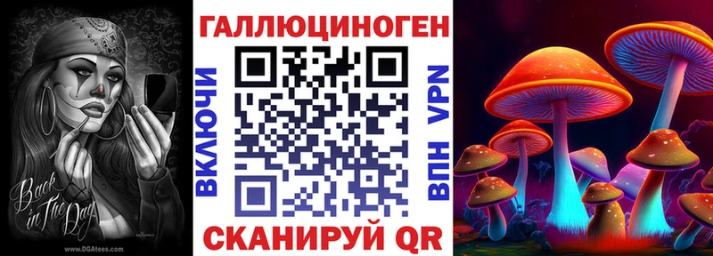 Псилоцибиновые грибы мицелий  MEGA как зайти  Александров 