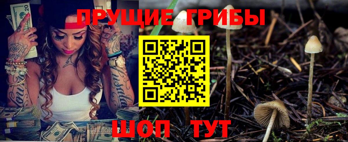 Галлюциногенные грибы MAGIC MUSHROOMS Александров