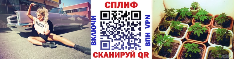 Шишки марихуана THC 21%  дарнет шоп  Александров 